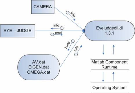 Eyejudgedll.dll data flow